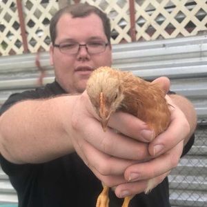 Meet your Posher, Patrick